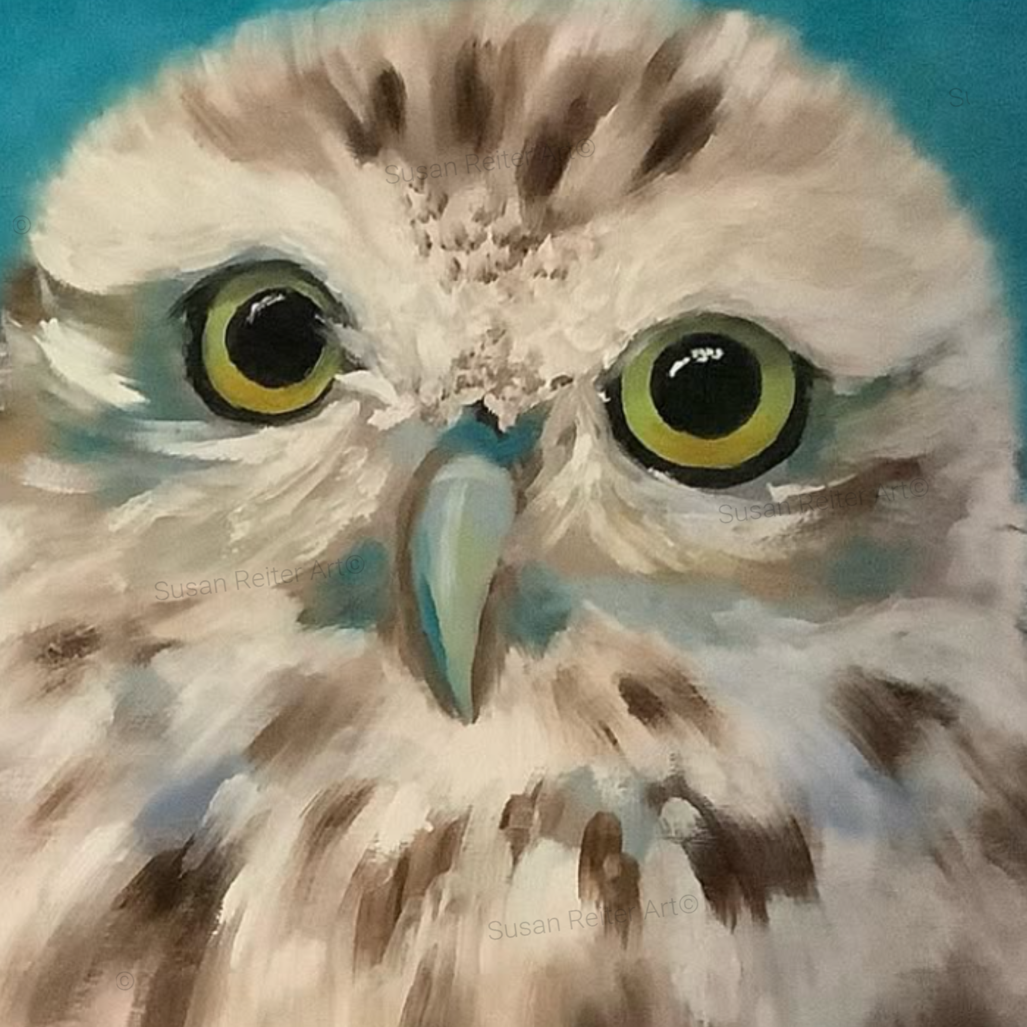 Susan Reiter art for website 1